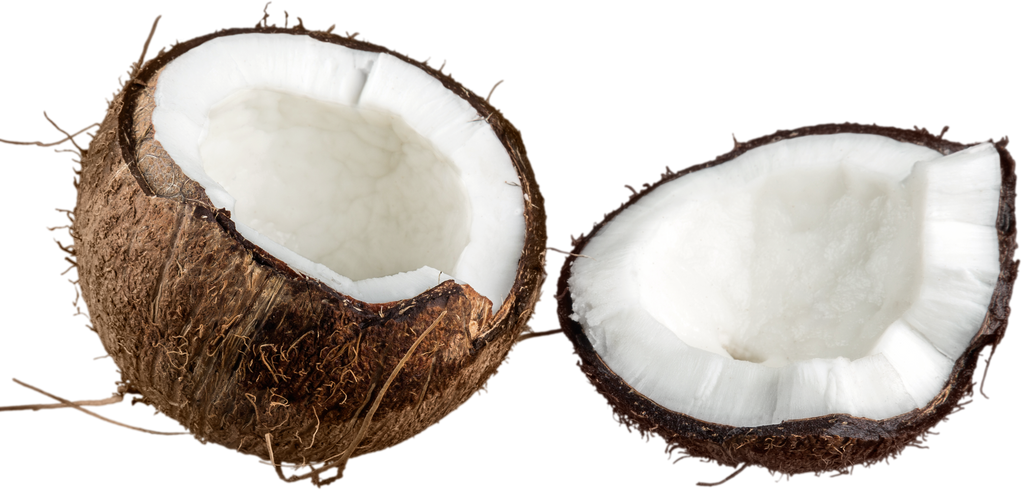 Opened Coconut